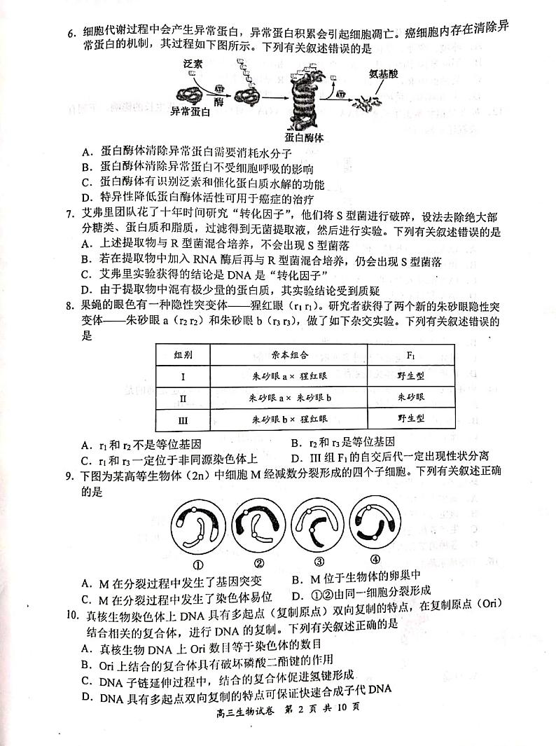 2020盐城高三年级第四次模拟考试生物试题PDF版含答案02