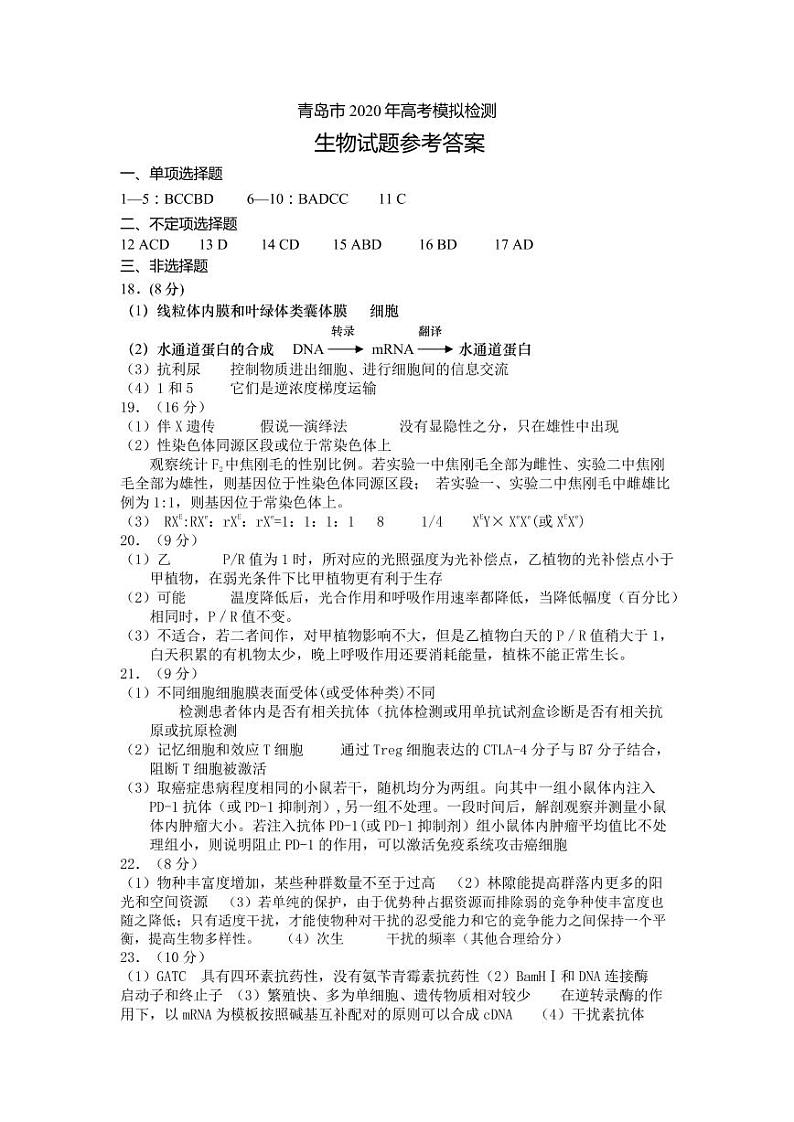 2020青岛高三二模生物试题PDF版含答案01