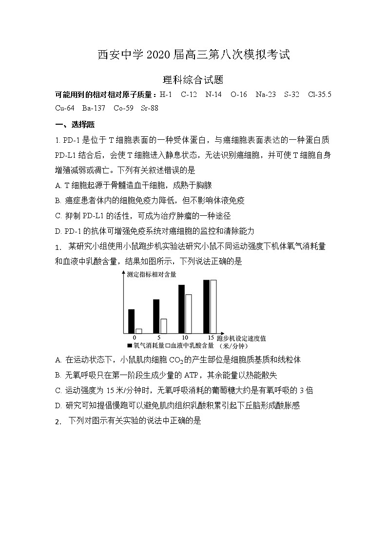 2020西安中学高三第八次模拟考试生物试题含答案第1页