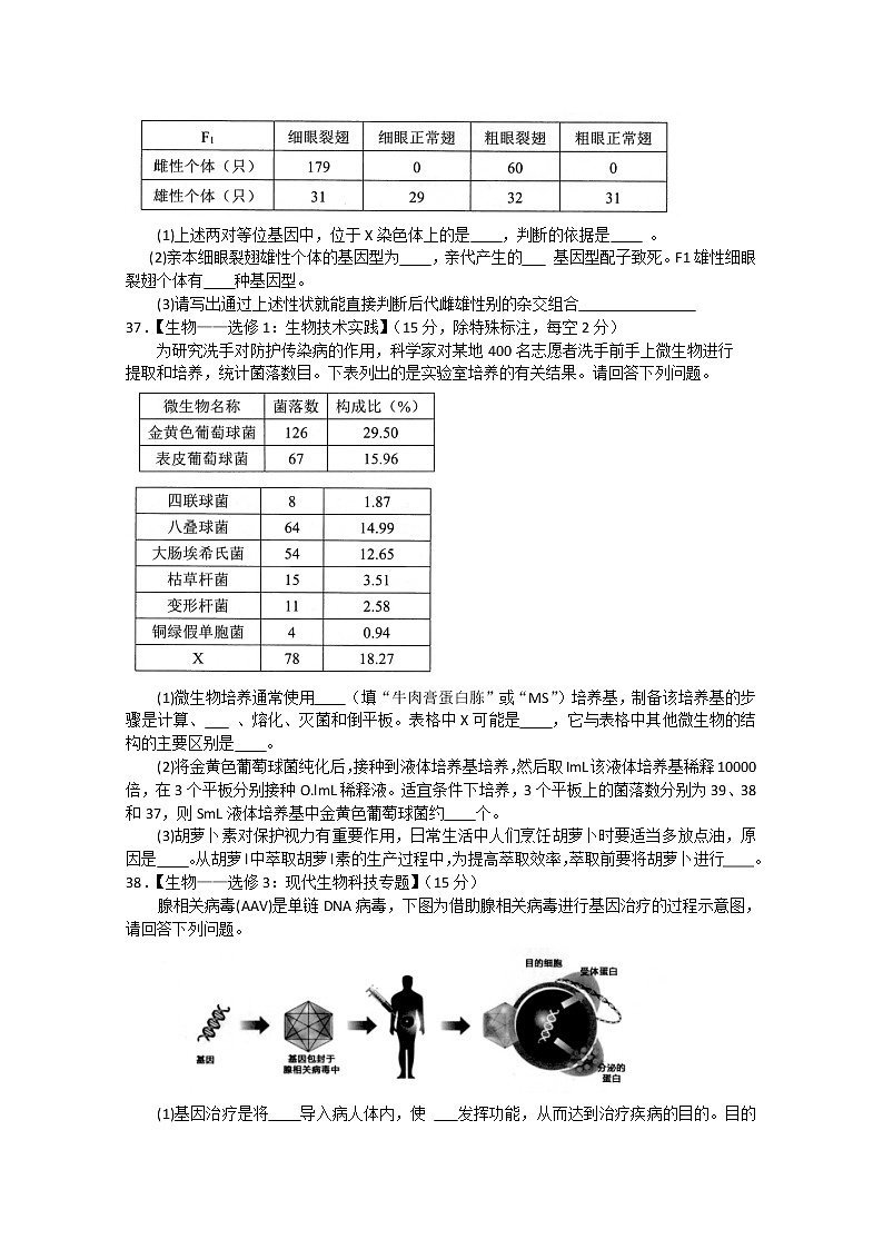 2020深圳高三年级第二次调研考试理综生物试题含答案03