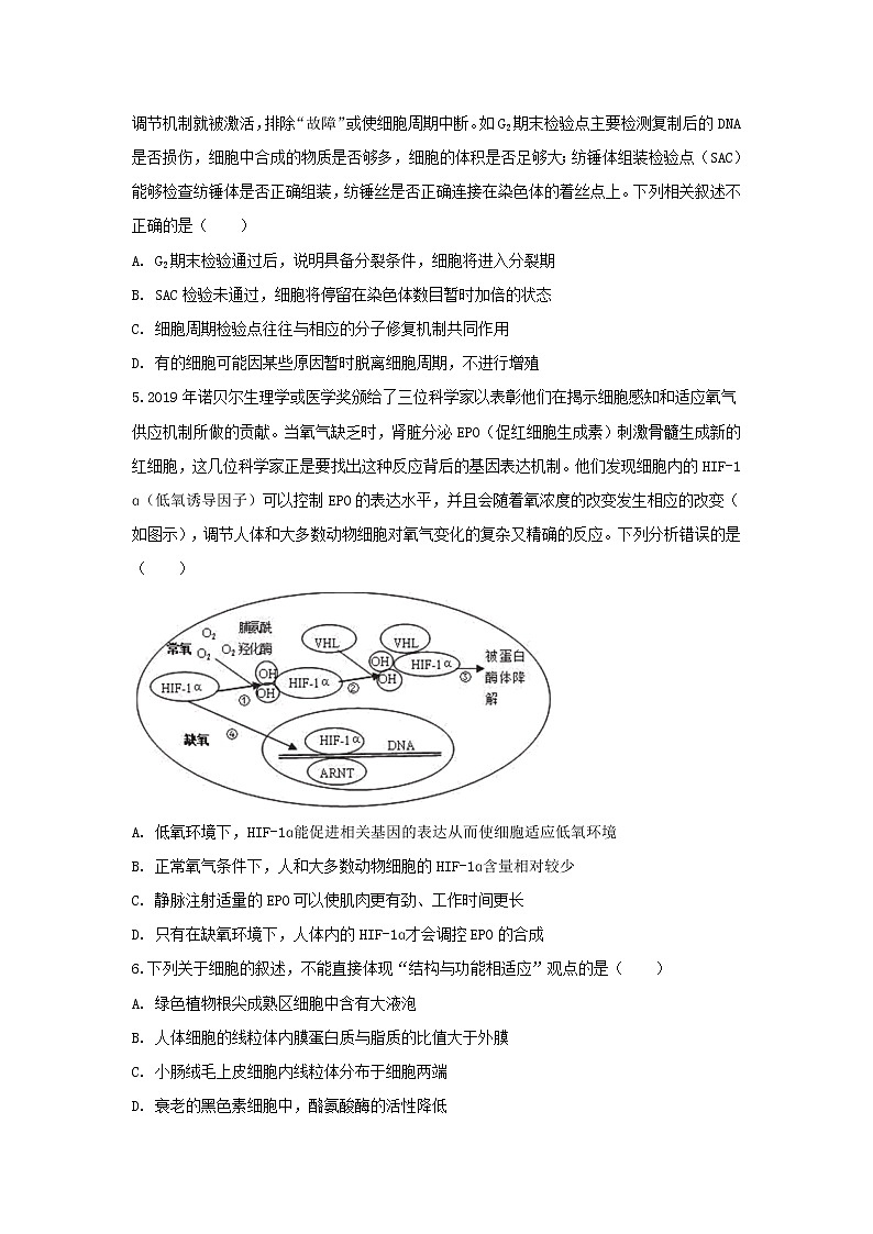 2020KS5U山东省高考压轴卷生物含解析02