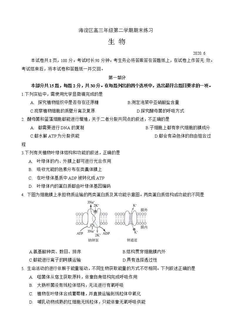 2020北京海淀区高三下学期二模考试生物试题含答案01