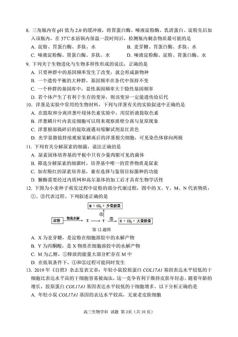 06生物试题第3页