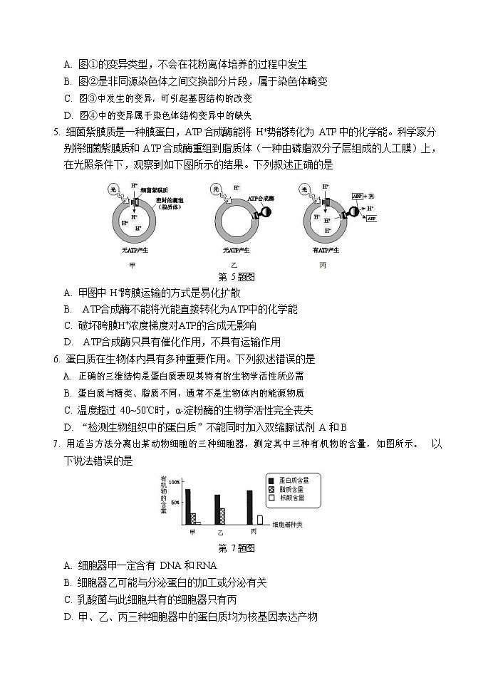 06生物试题第2页
