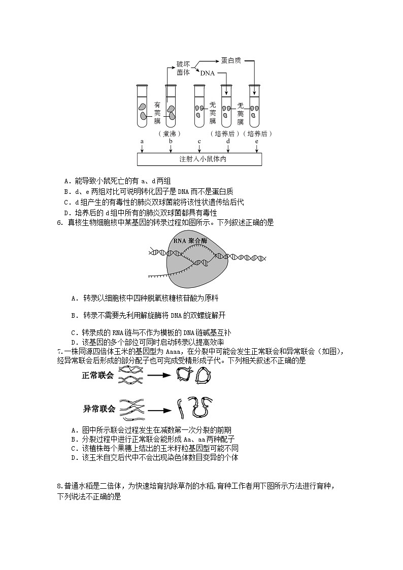 2020北京东城区高三下学期综合练习（一）（一模）生物试题（2卷）含答案02