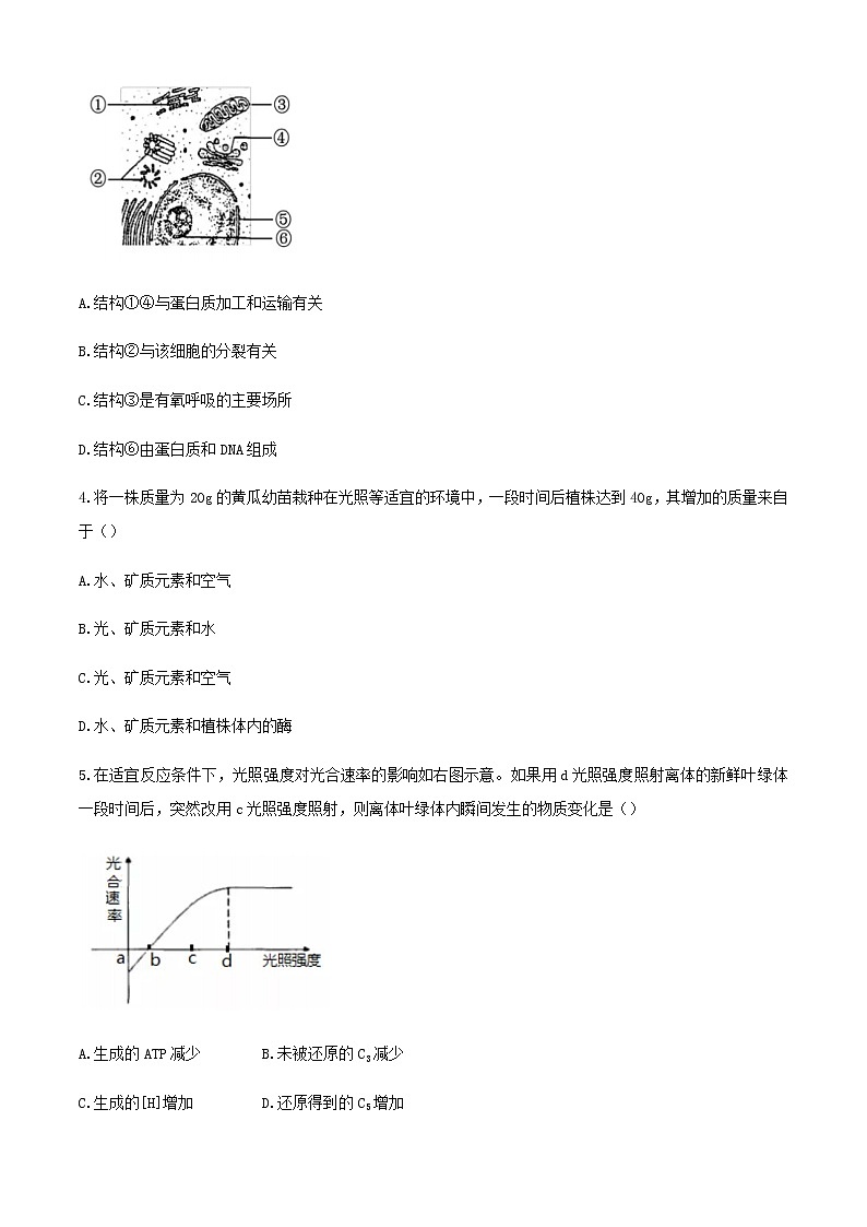 2020上海普陀区高三下学期质量调研（二模）生物试题含答案02