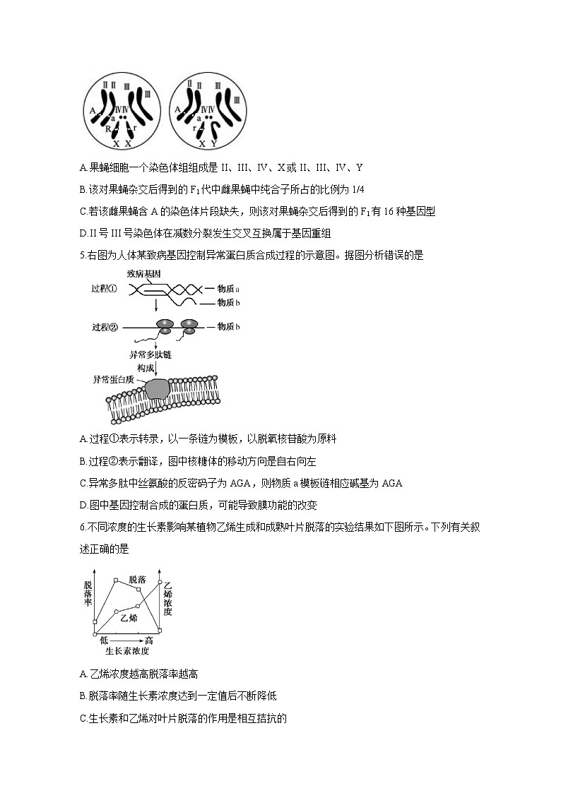 2020漳州高三第二次高考适应性测试（居家分散测试）生物含答案第2页