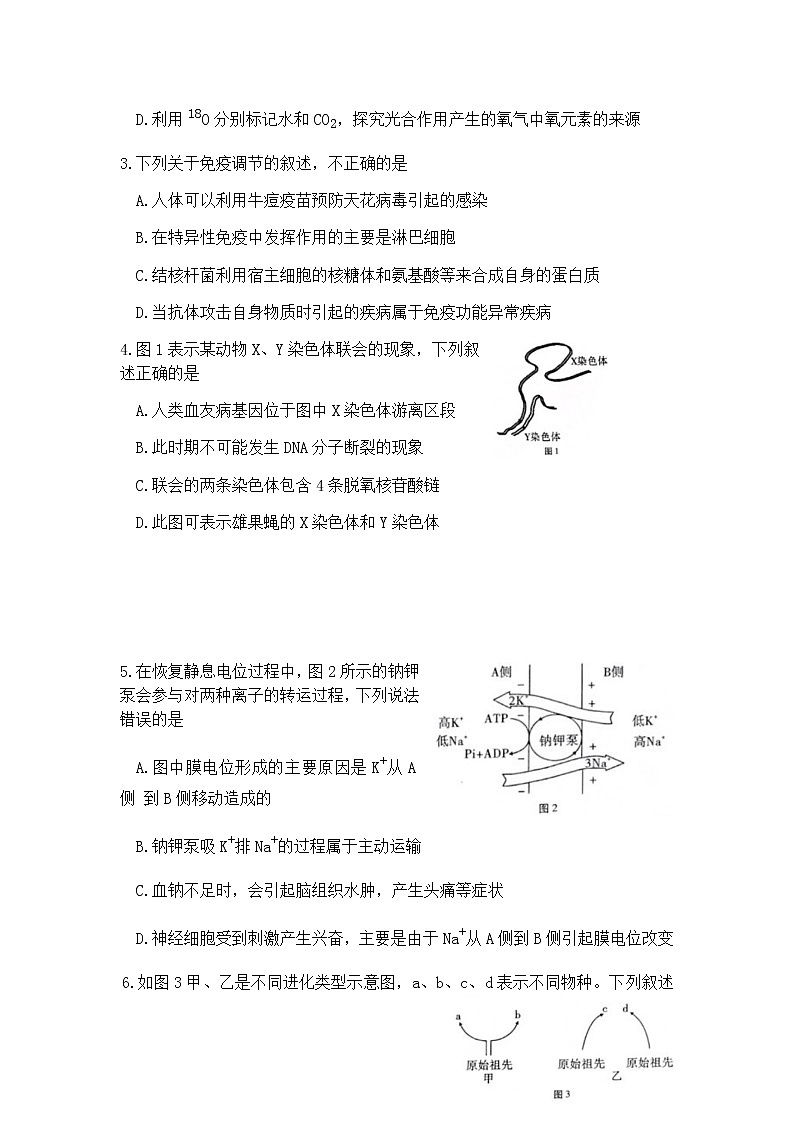 2020重庆市巴蜀中学高三高考适应性月考（七）理科综合生物试题含答案第2页