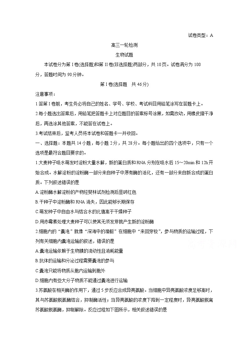 2020泰安高三一轮检测（一模）试题生物含答案第1页