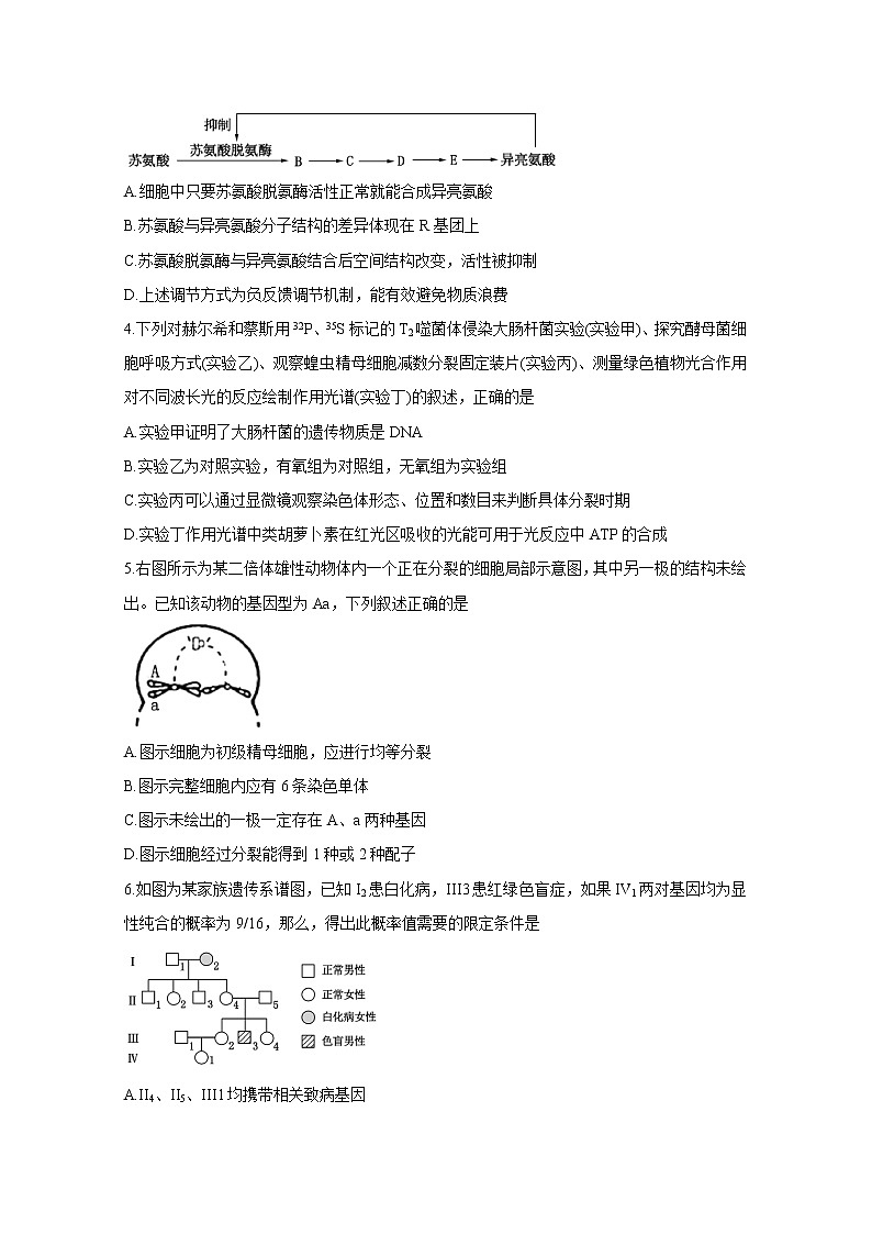 2020泰安高三一轮检测（一模）试题生物含答案第2页