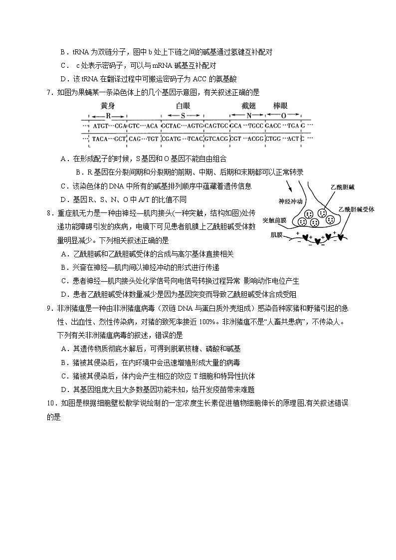 2020连云港老六所四星高中高三下学期模拟考试生物试题含答案02