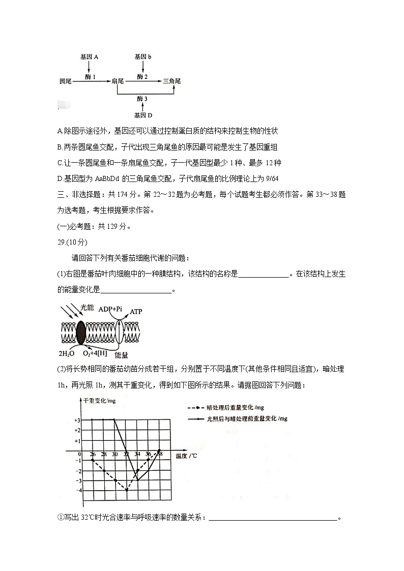 2020华大新高考联盟4月份教学质量测评生物含答案第3页