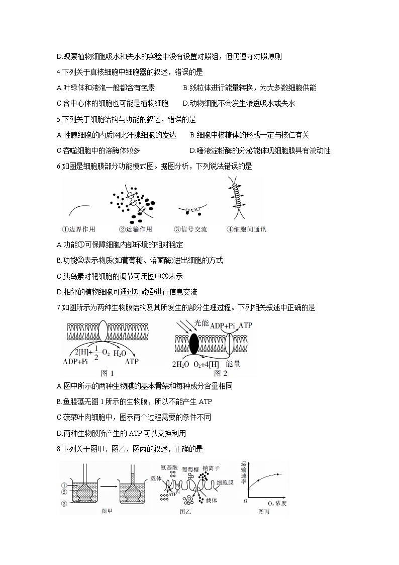 2020百校联考高考考前冲刺必刷卷（三）生物含解析02