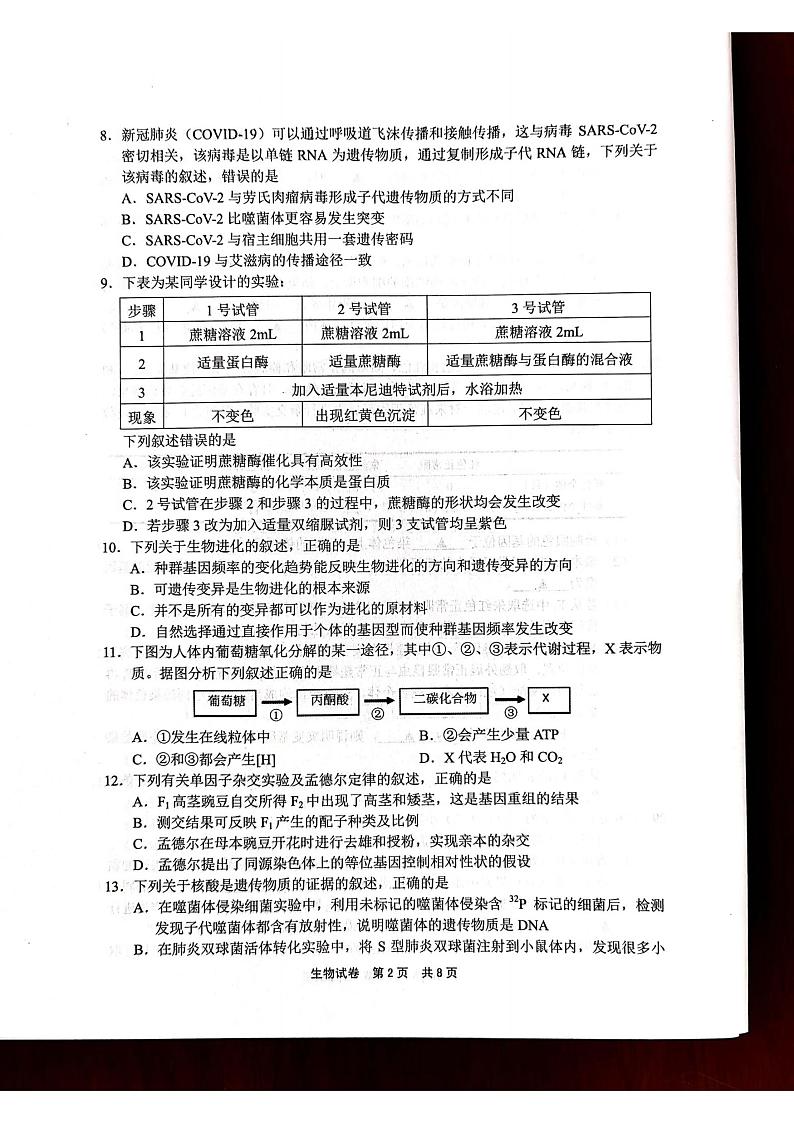 浙江省宁波市2020届高三适应性考试（二模）生物试题 PDF版含答案第2页