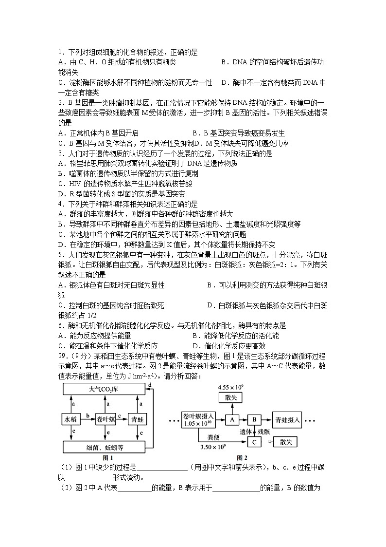 2020泸县四中高三三诊模拟考试理综-生物试题含答案01