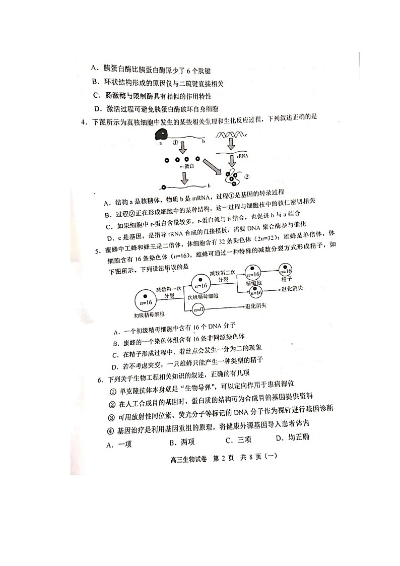2020天津河西区高三总复习质量调查（一）生物试题扫描版含答案第2页