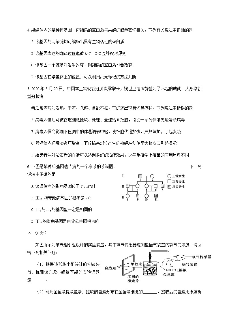2020攀枝花高三第三次统一考试生物试题含答案第2页