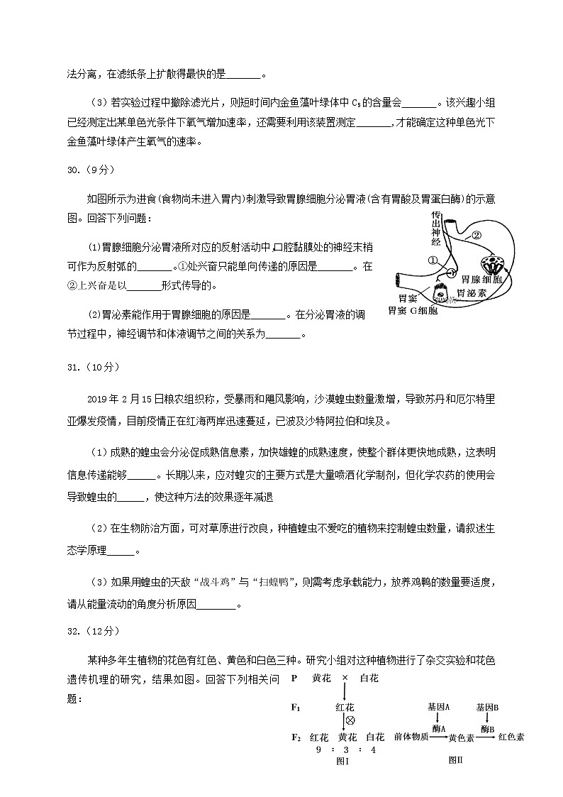 2020攀枝花高三第三次统一考试生物试题含答案第3页