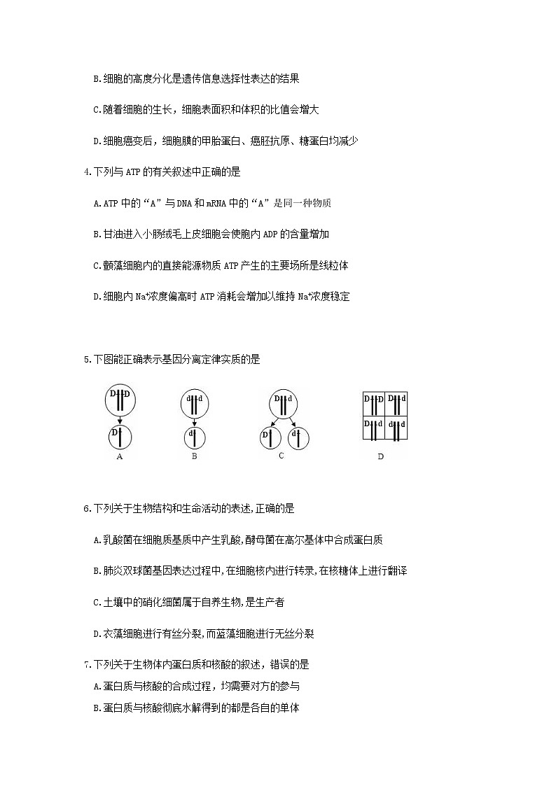 2020莆田第一联盟体高三上学期期末联考生物试题含答案02