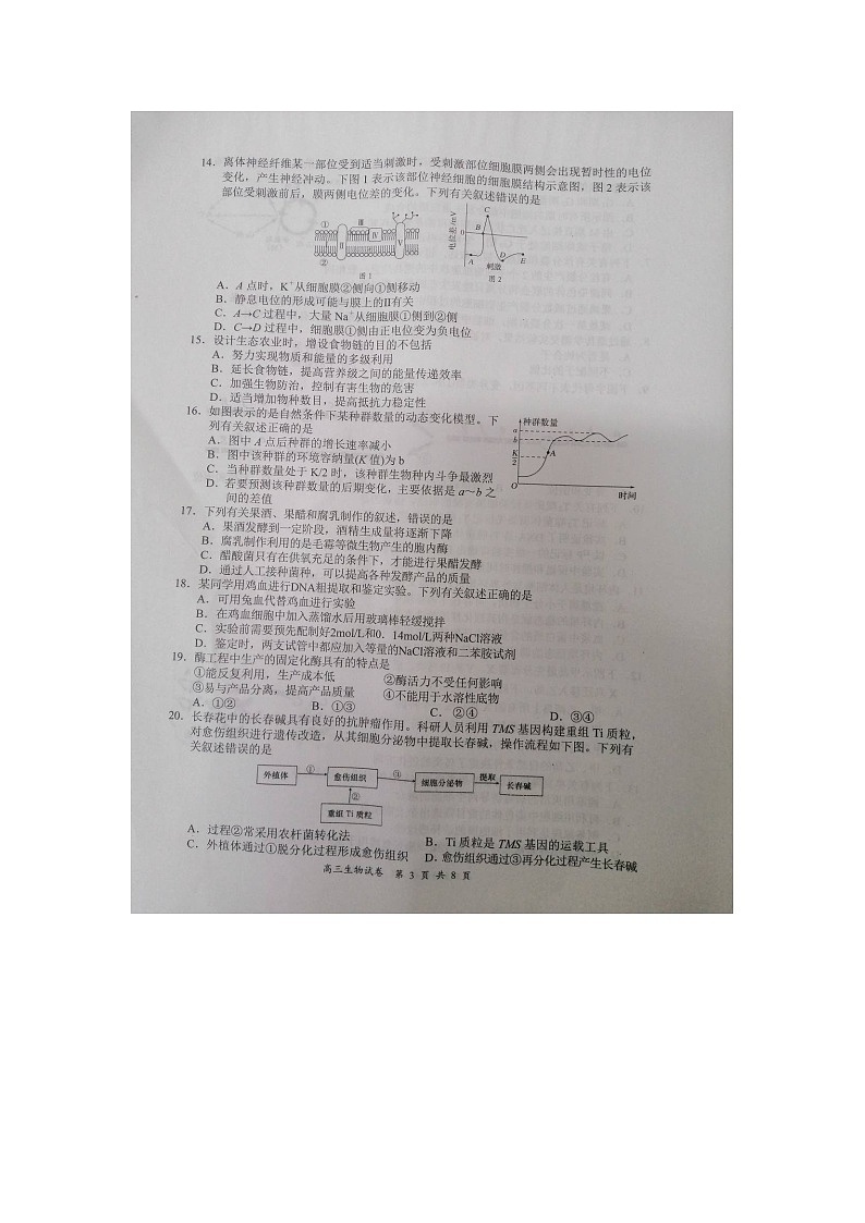 2020盐城高三第三次模拟考试生物试题扫描版含答案03