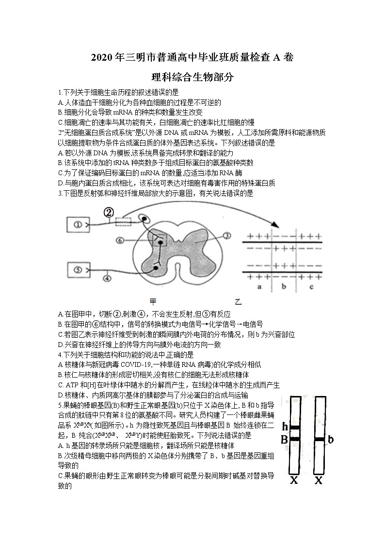 2020三明高三普通高中毕业班质量检查（5月）生物试题含答案第1页