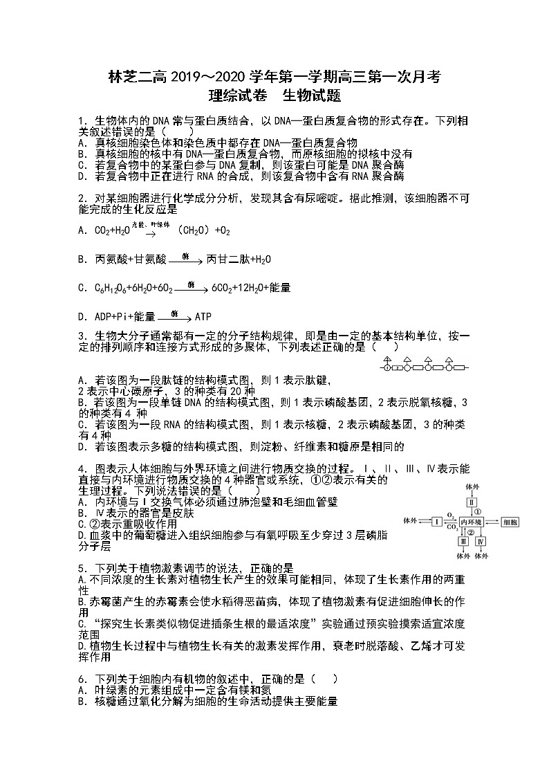 2020西藏自治区林芝市二中高三上学期第一次月考生物试题含答案第1页