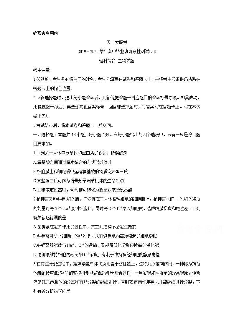 2020天一大联考高三阶段性测试（四）生物含答案01
