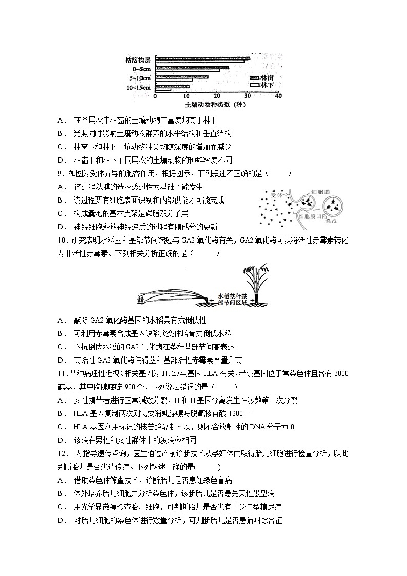 2020济南外国语学校高三寒假测试（三）生物试题含答案第3页