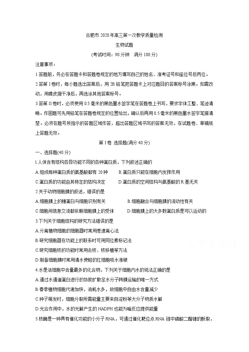 2020合肥高三第一次教学质量检测生物含答案第1页