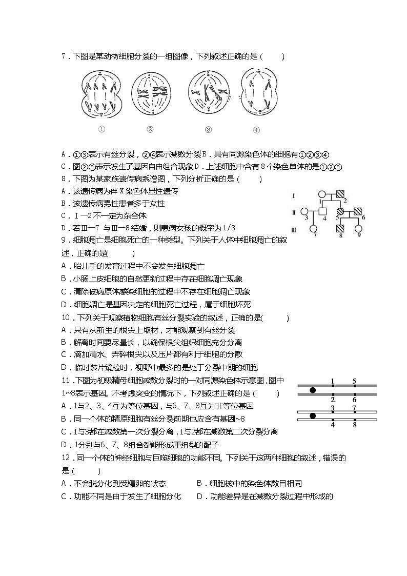 2020临汾洪洞县一中高三上学期期中考试生物试题含答案02
