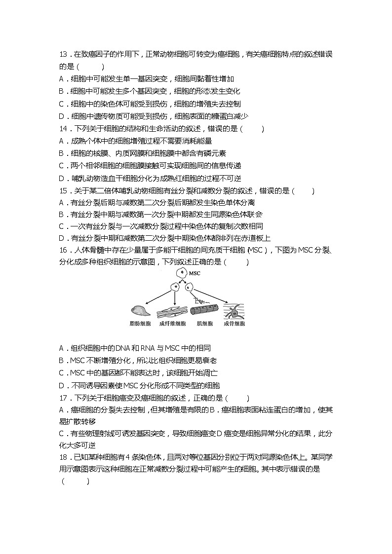 2020临汾洪洞县一中高三上学期期中考试生物试题含答案03