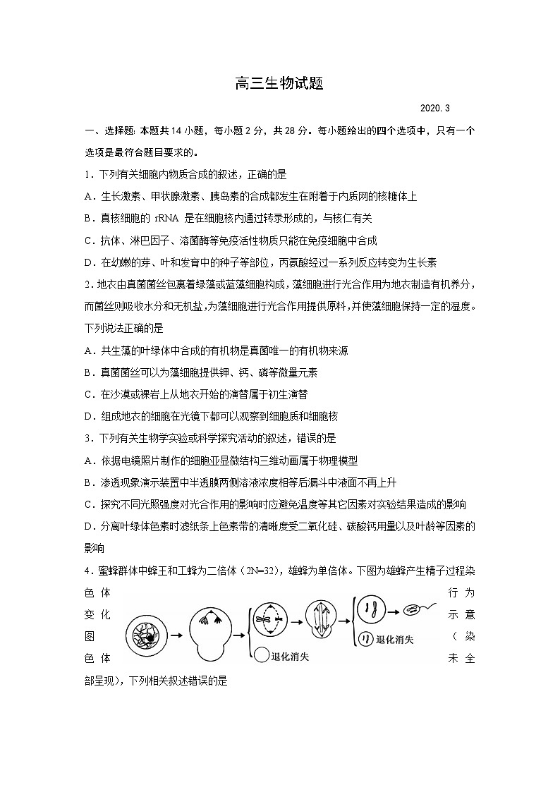2020潍坊一中高三下学期3月测试生物试题含答案第1页