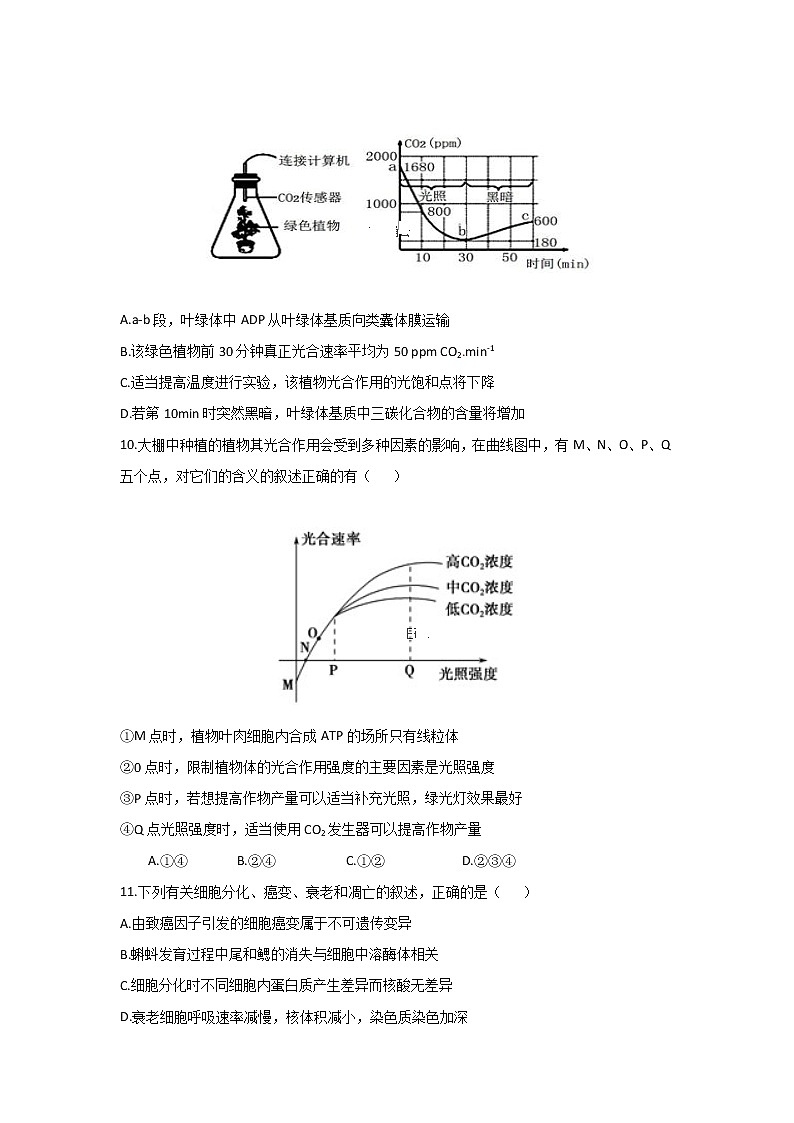 2020芮城县高三3月月考生物试题含答案第3页