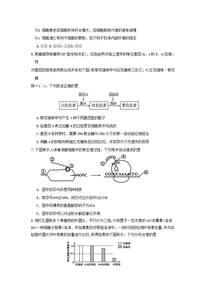 2020天津西青区高三上学期期末考试生物试题含答案02