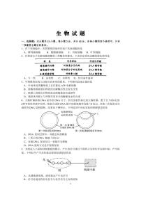 2020徐州睢宁县高三下学期线上阶段性检测生物试题PDF版含答案