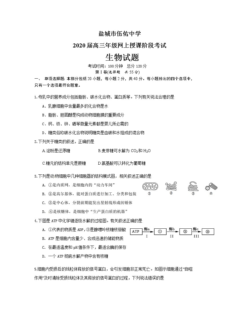 2020盐城伍佑中学高三下学期网上授课阶段考试生物试题含答案第1页