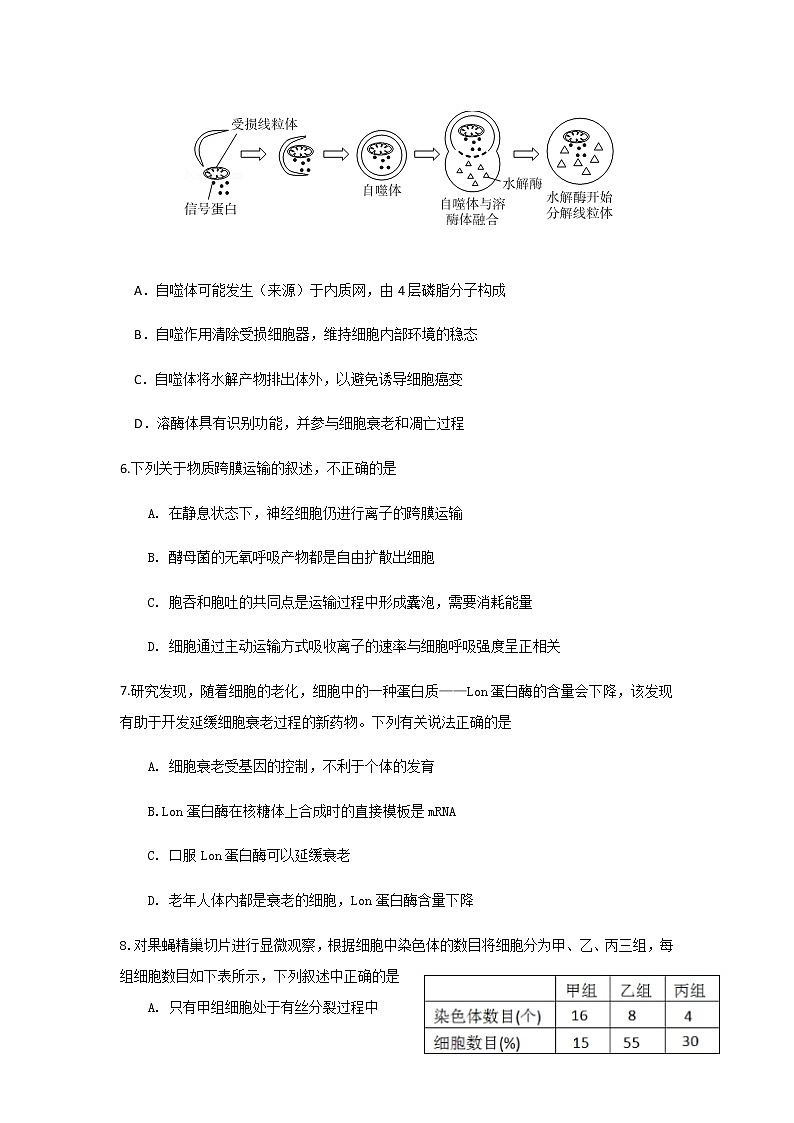 2020盐城伍佑中学高三下学期网上授课阶段考试生物试题含答案第2页