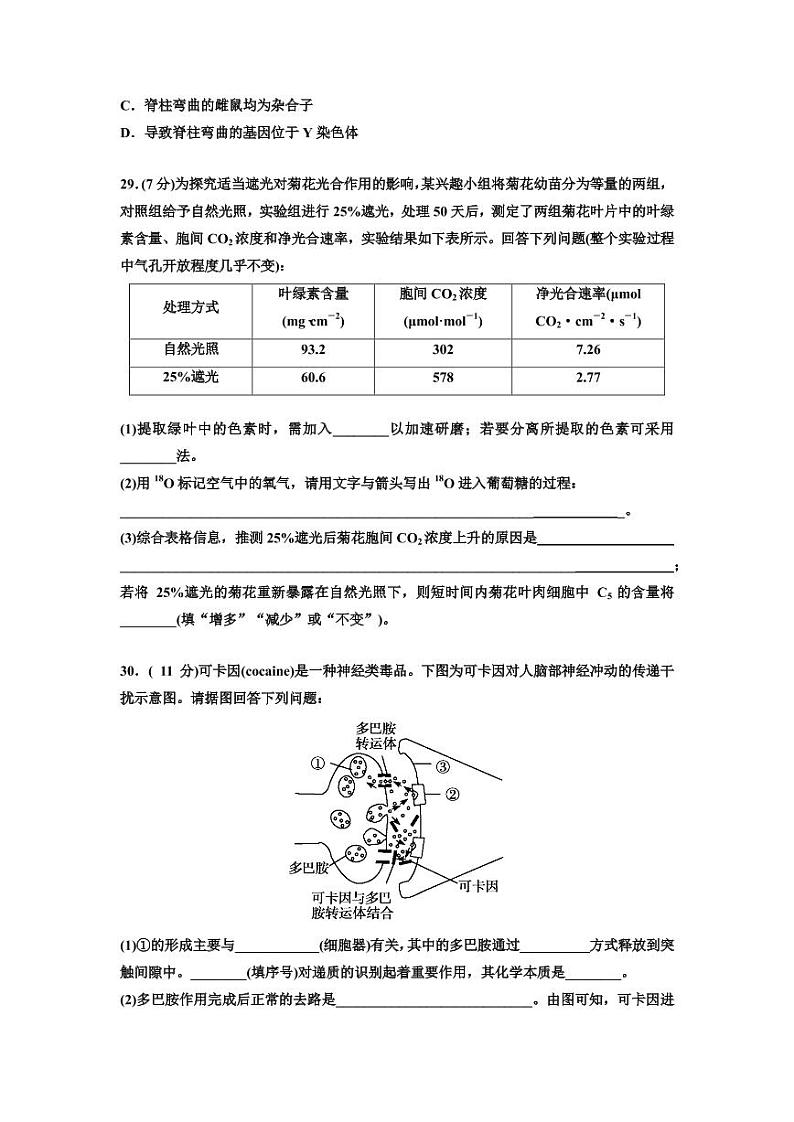 2020银川九中高三下学期“在线模拟考试”（第一次月考）生物试题PDF版缺答案第2页