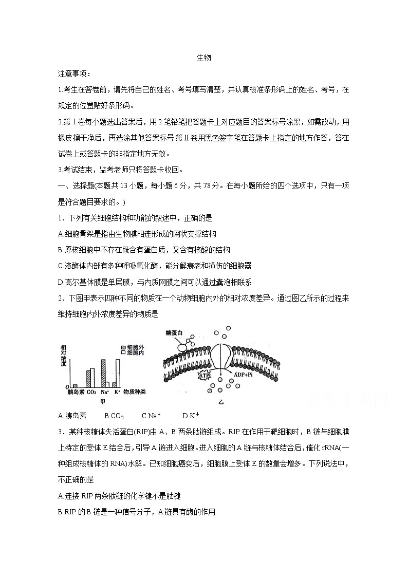 2020荆州高三上学期质量检测（一）生物含答案01