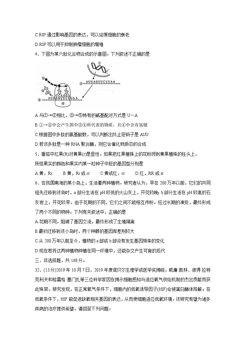 2020荆州高三上学期质量检测（一）生物含答案02