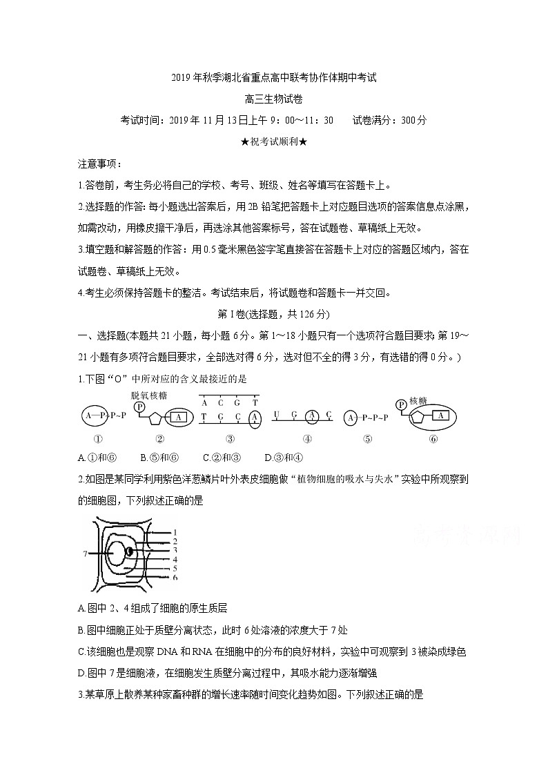 2020湖北省重点高中联考协作体高三上学期期中考试生物含答案01