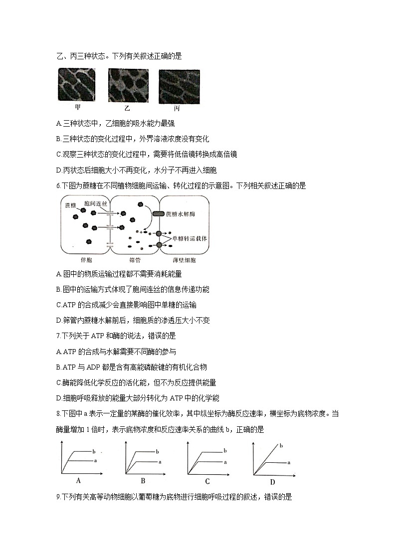 2020邢台高三上学期第四次月考试题生物含答案第2页