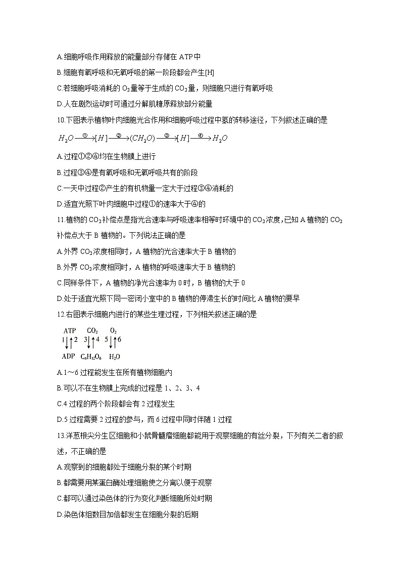2020邢台高三上学期第四次月考试题生物含答案第3页
