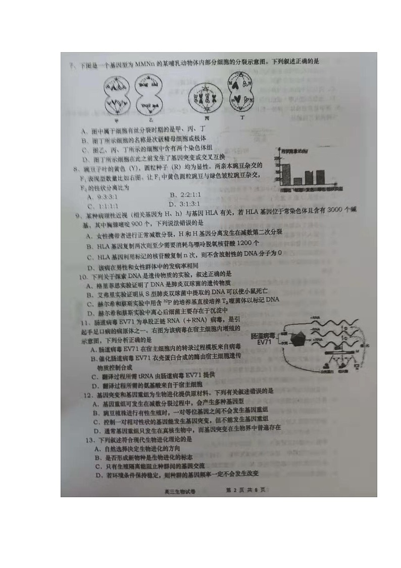 2020如皋中学、徐州一中、宿迁中学三校高三联合考试生物试题扫描版含答案02