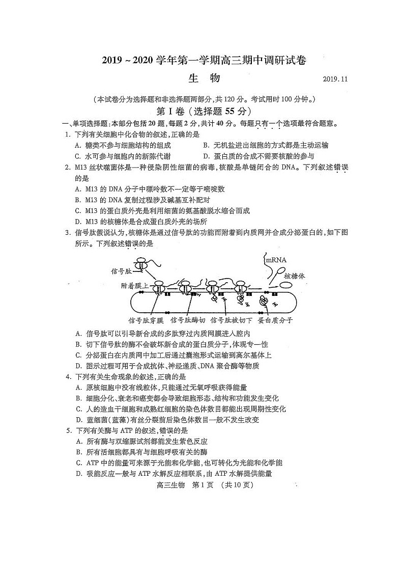 2020常熟高三上学期期中考试生物试题扫描版含答案第1页
