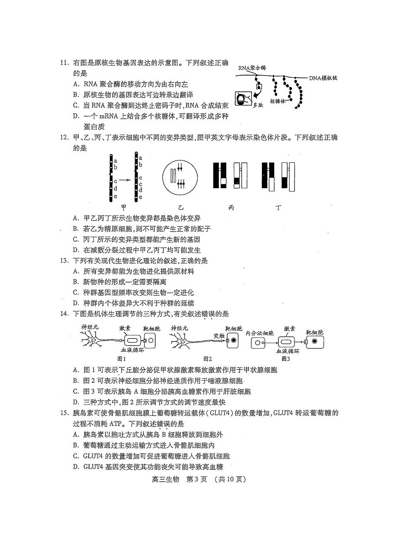 2020常熟高三上学期期中考试生物试题扫描版含答案第3页
