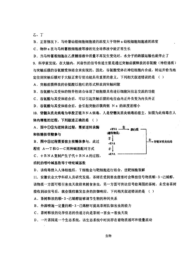 2020锦州联合校高三上学期期末考试生物试题扫描版缺答案03