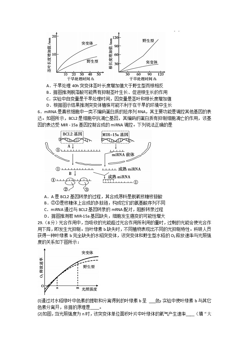 2020蚌埠高三上学期第二次教学质量检查考试生物试题含答案第2页