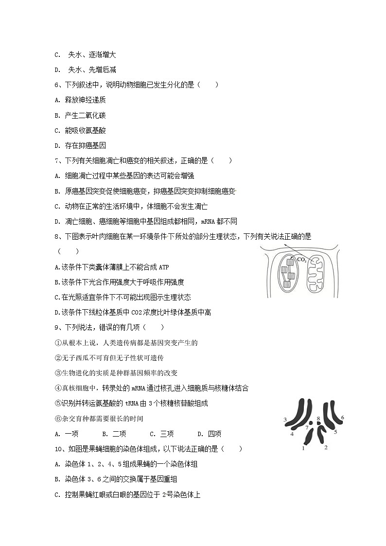 2020西宁六校（沈那、昆仑、总寨、海湖、21中、三中）高三上学期期末考试生物试题PDF版含答案第2页