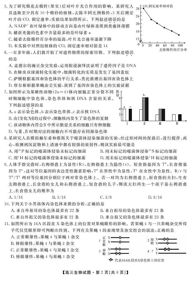 2020安徽省桐城中学高三12月月考生物试题PDF版含答案02